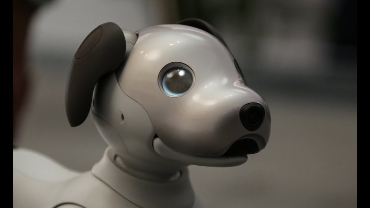 Sony представили обновленного робота-собаку Aibo на CES 2018 | Облако ...